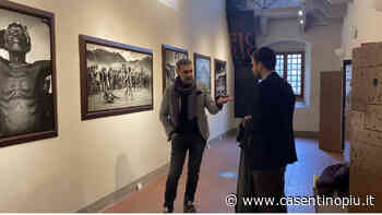 Al Cifa di Bibbiena la mostra di Giorgia Fiorio - Casentinopiù