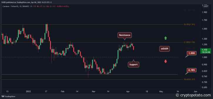 ADA Price Analysis: Cardano Sheds 8% Daily, is $1 in Sight? - CryptoPotato