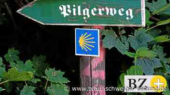 550 Kilometer für den Frieden – Pilger kommt nach Peine