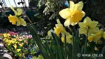 Spring is in the air! Here are 14 ways to enjoy it in Edmonton this weekend