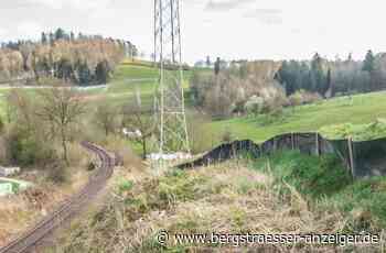Bremst ein Dachs den Bau der B 38 a bei Mörlenbach aus? - Region Bergstraße - Bergsträßer Anzeiger