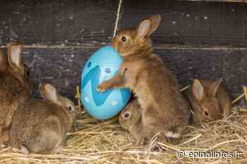 Sainte-Croix fête le printemps et Pâques - Epinal infos - Epinal Infos