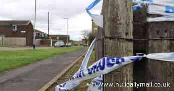 What happened in Dalwood Close? Bransholme residents left terrified after 'gunshots' - Hull Live