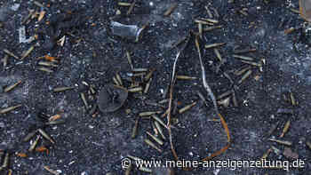 Ukraine-Krieg: Bürgermeister meldet über 130 erschossene Zivilpersonen in Makariw