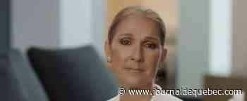 Céline Dion : une vidéo pour soutenir le mouvement Stand Up For Ukraine