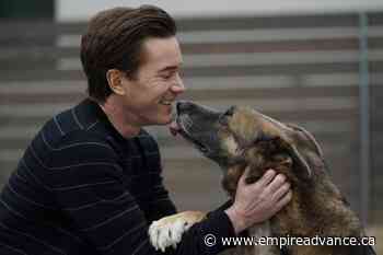 After 'Ozark' role, Tom Pelphrey is on Hollywood's radar - Virden Empire Advance