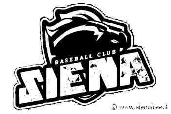 Estra Siena Baseball Club, al via la stagione 2022 - SienaFree.it