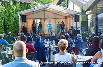 Open-Air in Leinfelden-Echterdingen: Worauf sich Kulturbegeisterte freuen können - Stuttgarter Nachrichten