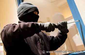 Einbruch in Leinfelden-Echterdingen - Einbrecher auf frischer Tat ertappt - esslinger-zeitung.de