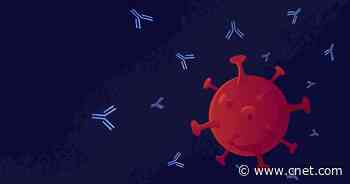 What to Know About Monoclonal Antibodies     - CNET