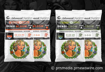 First Phase-Dependent Water-Soluble Powders Set to Disrupt the Commercial Cannabis Market