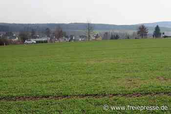 Handelsexperten raten: Pläne an Perlaser Straße von Treuen abspecken - freiepresse.de