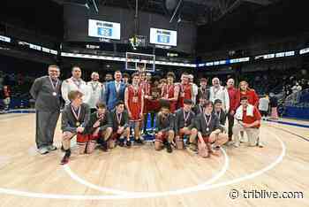 Fox Chapel Area grad creates painting commemorating alma mater's WPIAL basketball championship - TribLIVE