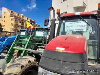 Caro carburanti: protesta produttori e allevatori a Enna - Agenzia ANSA
