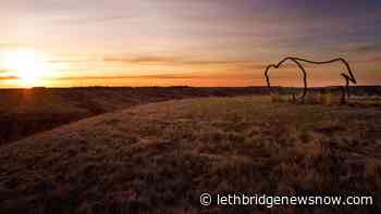 New U of L partnership provides mentorship opportunities for Indigenous students - Lethbridge News Now