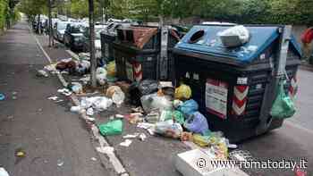 La raccolta rifiuti arranca e l'opposizione attacca. Alfonsi: "Tutto sotto controllo"