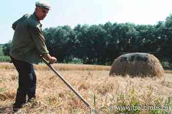 Food prices soar to record levels on Ukraine war disruptions - Trail Times