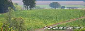 Constellation Joins Oregon Wine Trail | Wine-Searcher News & Features - Wine-Searcher