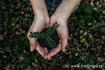 ‘Trail must transition to 100 per cent renewable energy’ - Trail Times