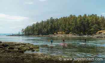 Paddle Boarding Saanich Peninsula, BC, Canada | Supconnect.com - Supconnect.com