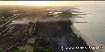 Incendi dell'estate 2021, prorogato di due mesi lo stato di emergenza - Termoli Online