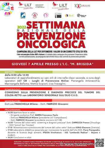 Prevenzione con la Lilt: convegno e laboratori alla Brigida di Termoli - Primonumero