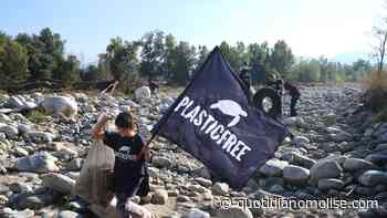 Termoli risponde presente all'appello di Plastic Free - Il Quotidiano del Molse