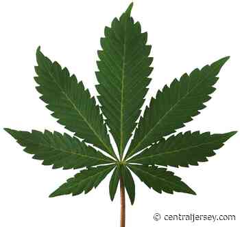 Eatontown Borough Council vote supports retail cannabis application - centraljersey.com