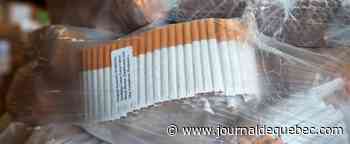 Environ 63 000 cigarettes illégales dans un appartement de Sherbrooke