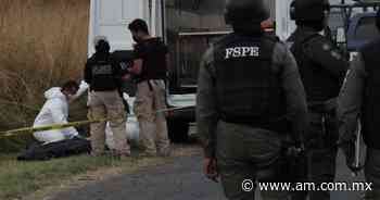 Violencia en Cortazar: Encuentran restos humanos adentro de bolsas, en carretera Panamericana - Periódico AM