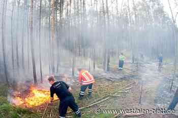 Was tun, wenn der Wald in Flammen steht? - Westfalen-Blatt