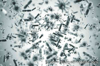 Game Theory Can Help Us Better Understand Viruses