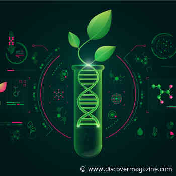 Labs Are Assembling Synthetic Genes, and It's Cheaper Than Ever