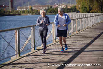 How To Extend Your Longevity