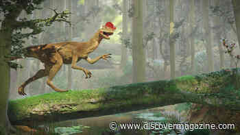 Would Usain Bolt Beat This 'Jurassic Park' Dinosaur in a Race?