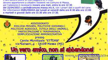 "Un giorno in Canile" con il Comune di Massa: microchip gratuito per i cani - La Voce Apuana