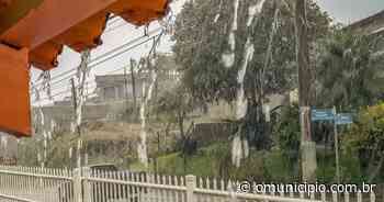 Chuva: de Brusque a Vidal Ramos, confira os volumes registrados nesta sexta-feira - O Município