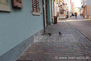 Marktheidenfeld: »Wir haben das Thema Tauben auf dem Radar« - Main-Echo