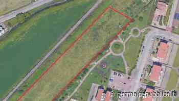 Parma, una nuova foresta urbana di 750 piante in via Volturno - La Repubblica
