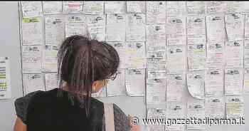 Ecco 16 annunci per chi cerca lavoro - Gazzetta di Parma