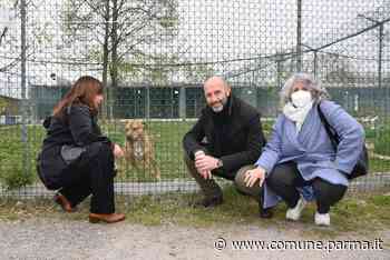 Un nuovo canile per Parma - Comune di Parma - Notizie