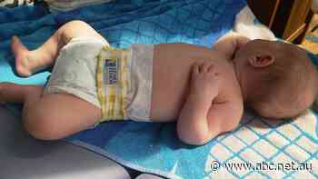 Compostable nappies used to be a pipedream but this NSW council has proved their viability