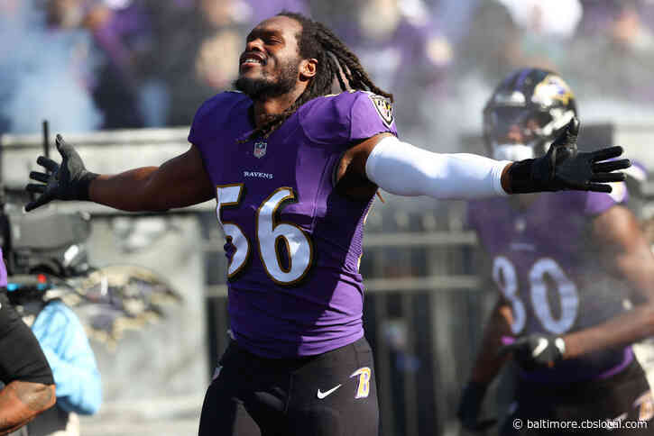 Ravens Agree To Deal Keeping LB Josh Bynes In Baltimore
