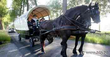 Gemeente organiseert huifkartocht en bloesemlounge tussen de boomgaarden van Binkom - Het Laatste Nieuws