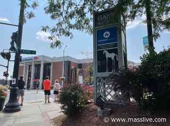 Amherst live music performance venue The Drake set to open with a performance from jazz violinist Regina Cart - MassLive.com