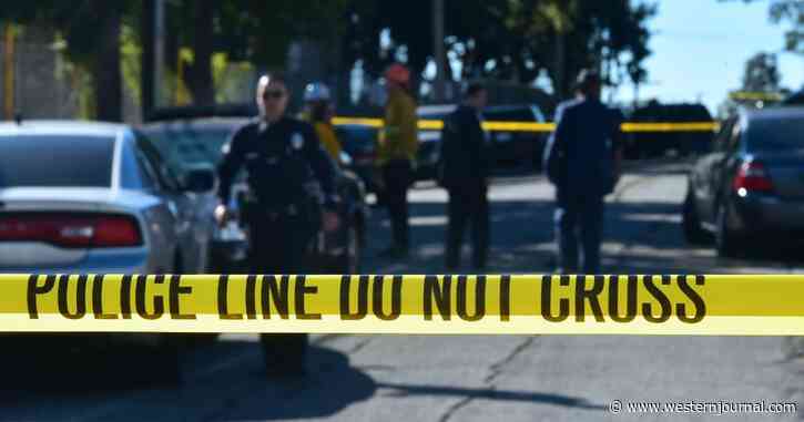 Letts: Pro-Police Candidates May Soon Start Winning, But Cops Still Face a Huge Problem