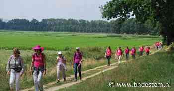 Corona-ellende achter de rug, Drunens Wandelfestival gaat voor 'grootste roze lint ooit' - BN DeStem