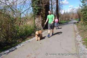 Input critical to Langley City's parks and rec plan – Aldergrove Star - Aldergrove Star