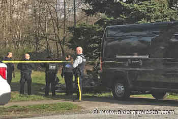 Body found in wooded Langley area that of 29-year-old man – Aldergrove Star - Aldergrove Star