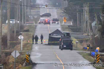 Man dead in South Langley homicide – Aldergrove Star - Aldergrove Star